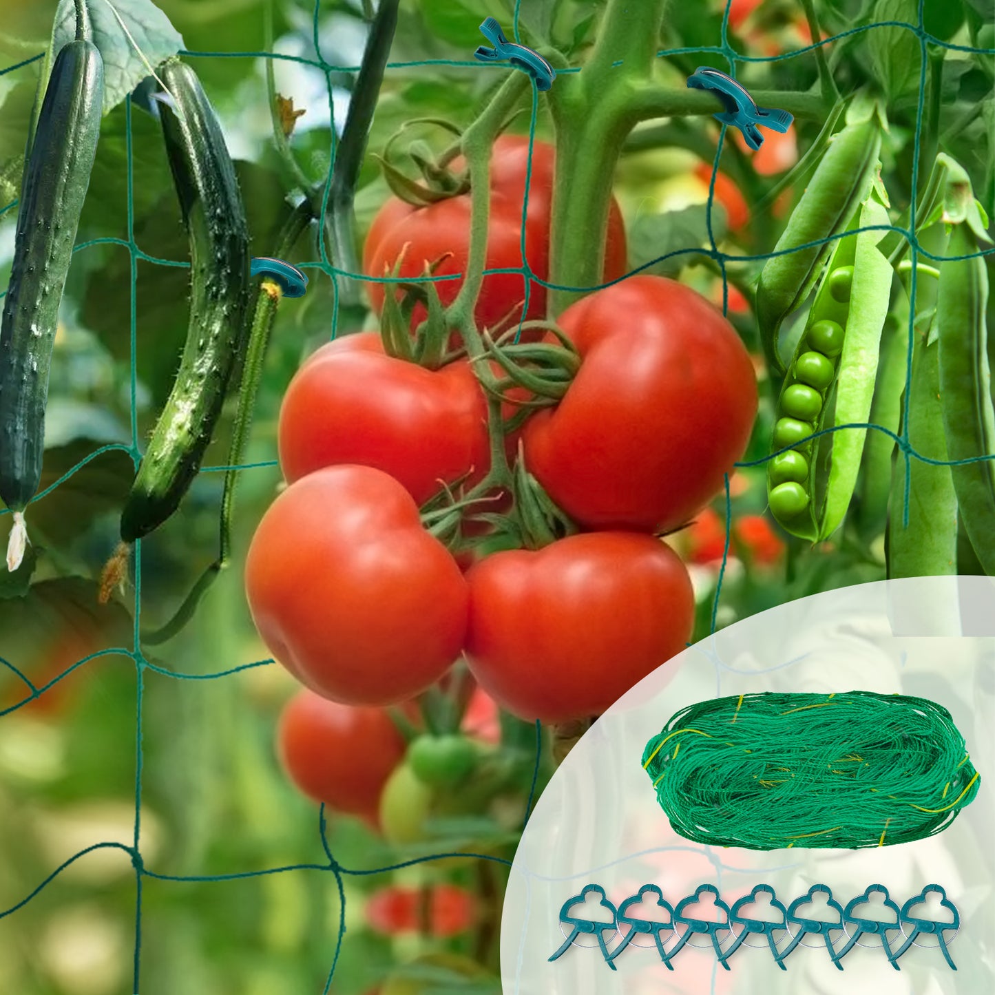 Garden Netting with Plant Clips / Trellis Netting for Climbing Plants