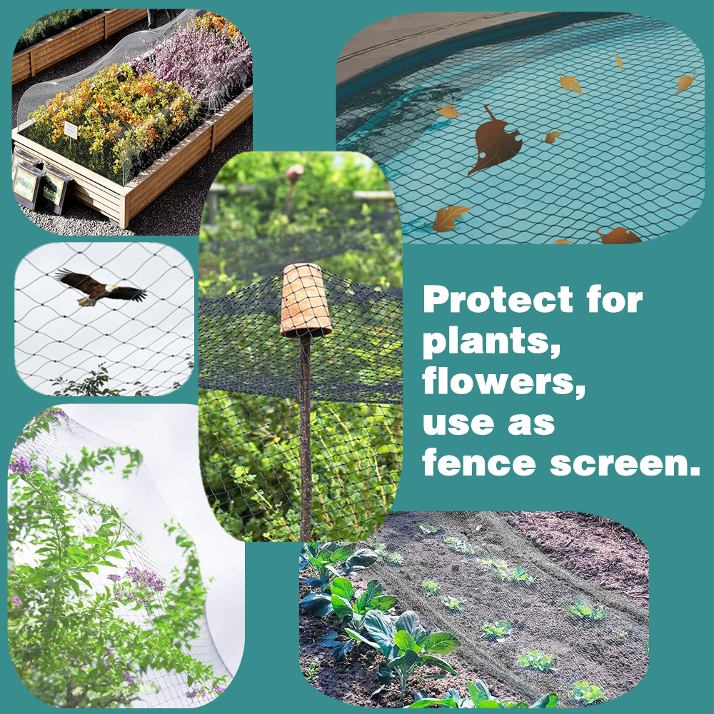 Bird Netting / Garden Netting / Protect Plants & Fruit Trees Netting